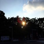 夏至に祈りを・・・