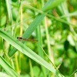 何もない世界に感じていたところから彩り豊かな世界へ一歩踏み出す