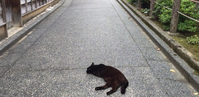 『今、ここ』において、『在る』