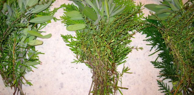 スマッジングについて《スマッジングにつかう植物》