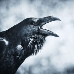 非情な天使の囁きと甘い悪魔の誘惑の狭間で、ひとでなしの自分と出会う