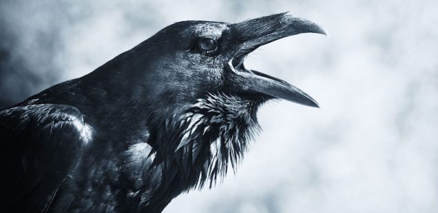非情な天使の囁きと甘い悪魔の誘惑の狭間で、ひとでなしの自分と出会う