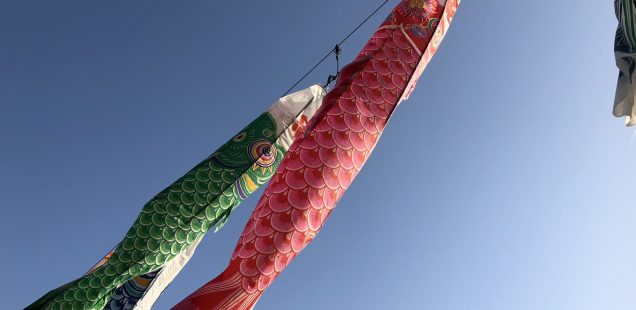 【豊かさを引き寄せよう】5月の一粒万倍日