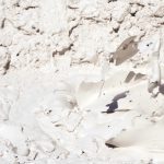 ホワイトクレイで洗顔