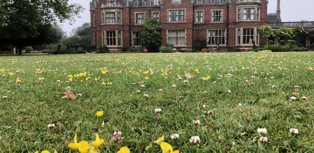 イギリス滞在記:花の美しいシーズンです