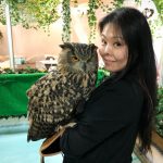 フクロウと仲良くなってきましたin山口