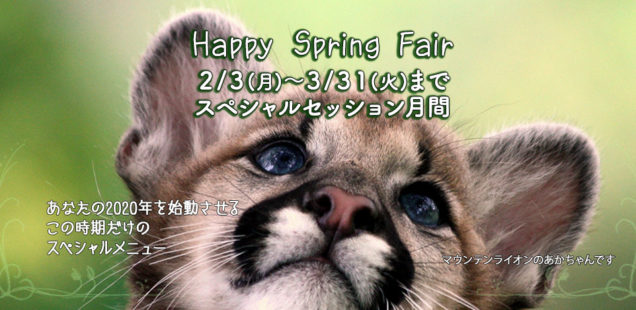 2月・3月はものつくり&イベントWS月間!